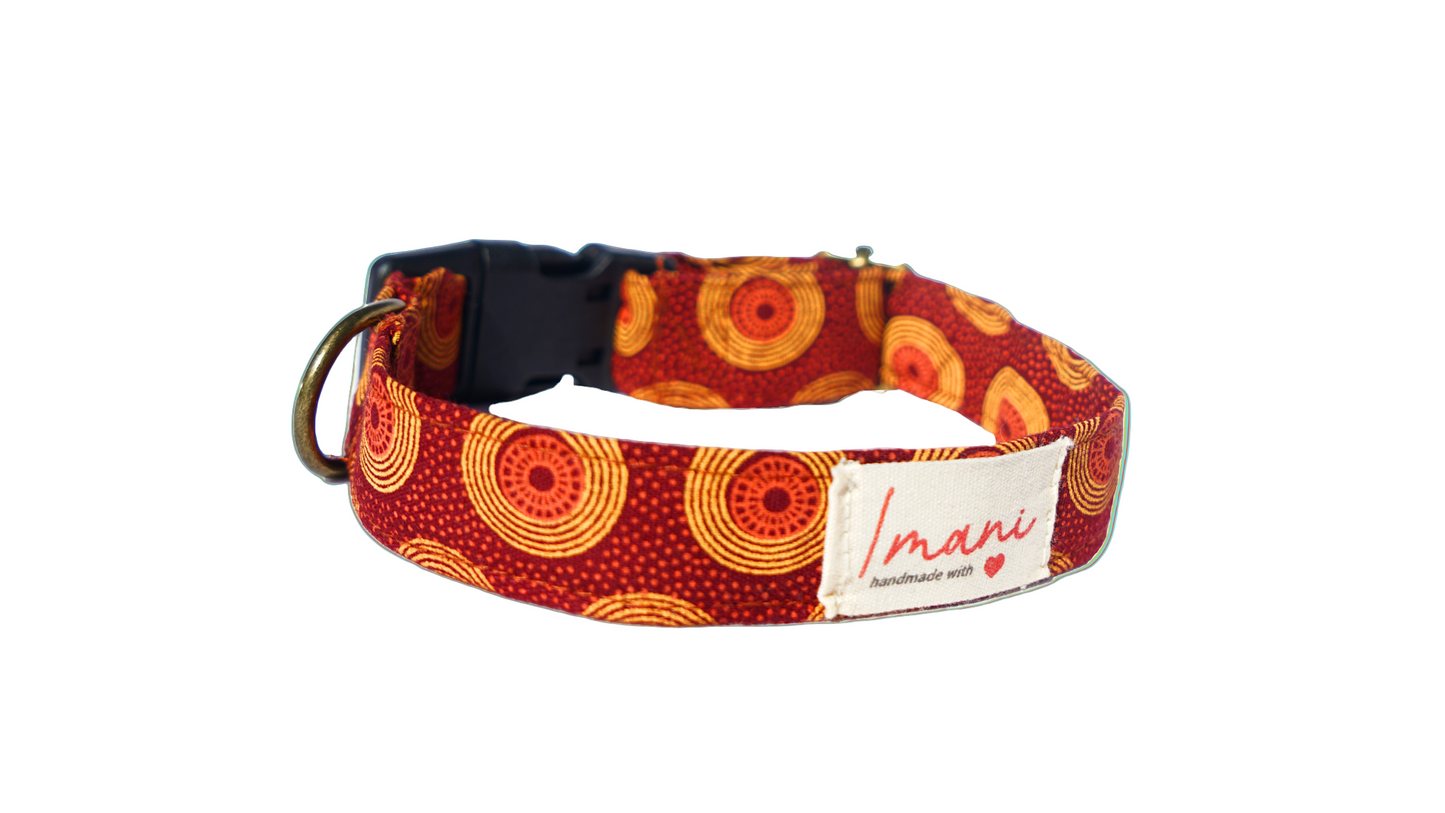 Amata in brown