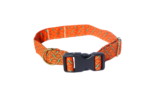 Amata Orange Collar