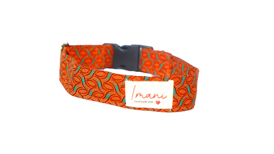 Amata Orange Collar