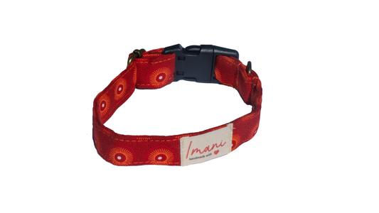 Amata Red Collar
