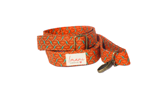 Malaika Orange Leash