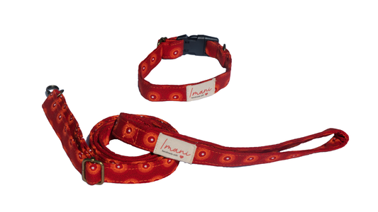 Malaika Reddish Combo